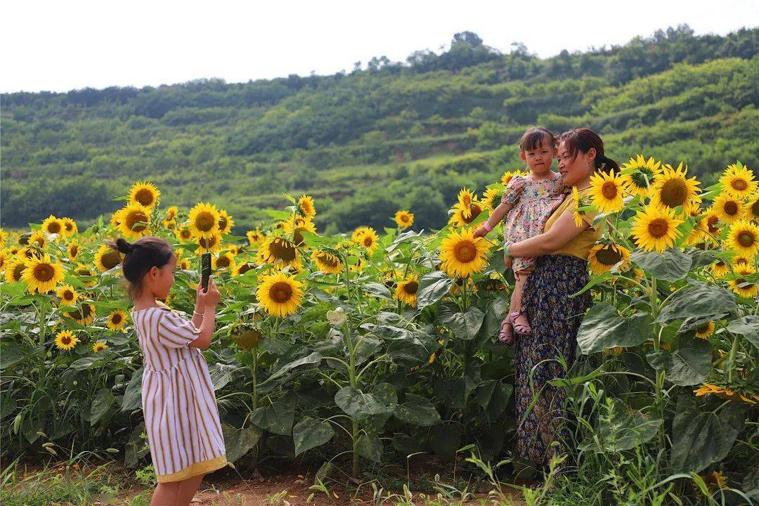 我的世界村民图片_村民图片简笔画_村民图片