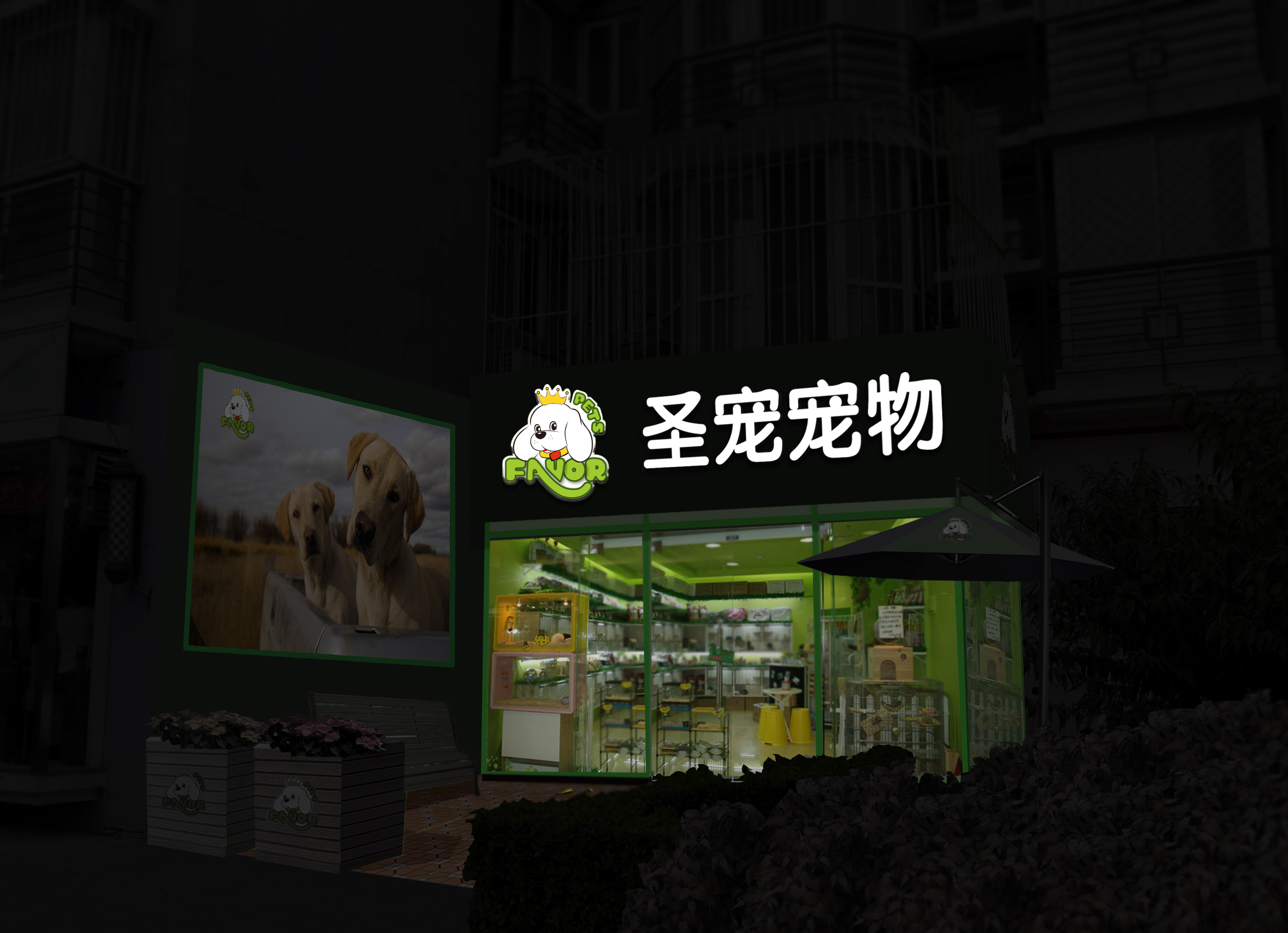 奥比岛宠物_奥比岛宠物在哪里领取_奥比岛宠物图鉴