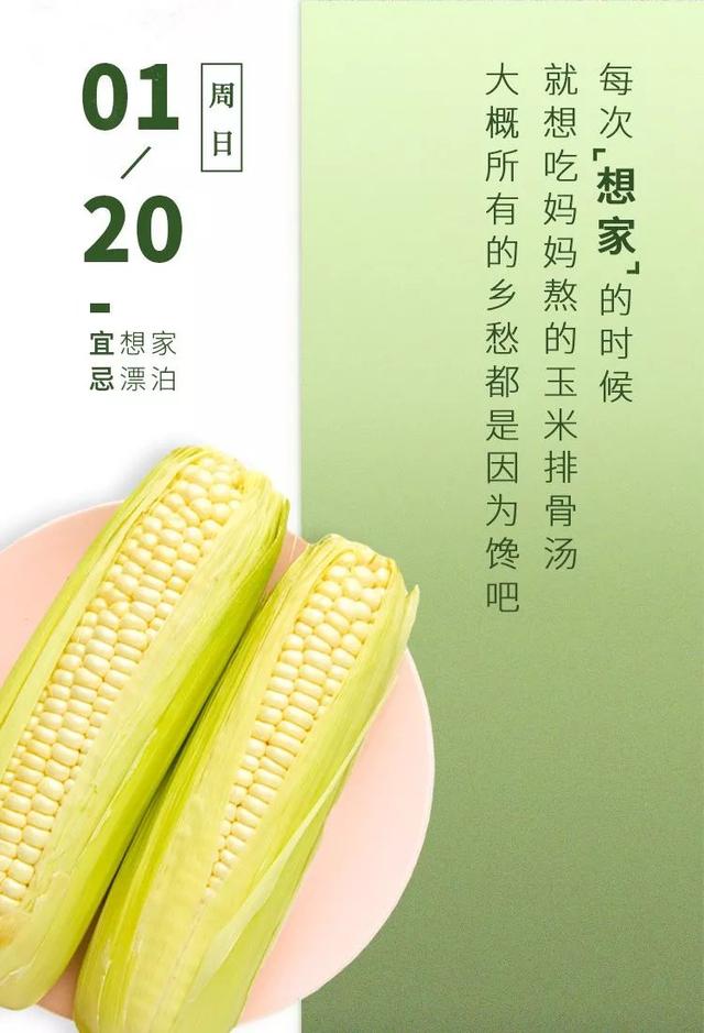 玉米电影_玉米电影_玉米电影