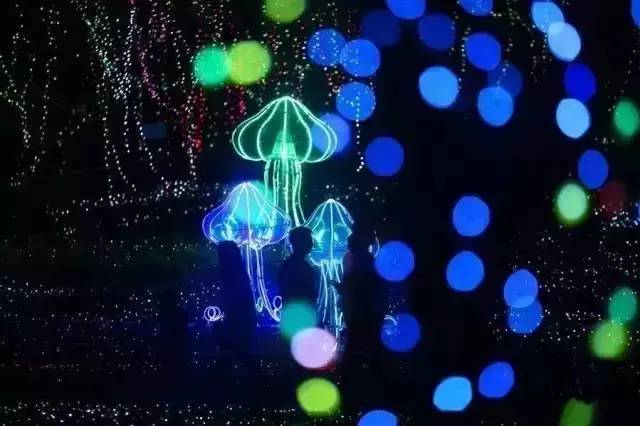 梦2不眠之夜_梦2不眠之夜_梦2不眠之夜