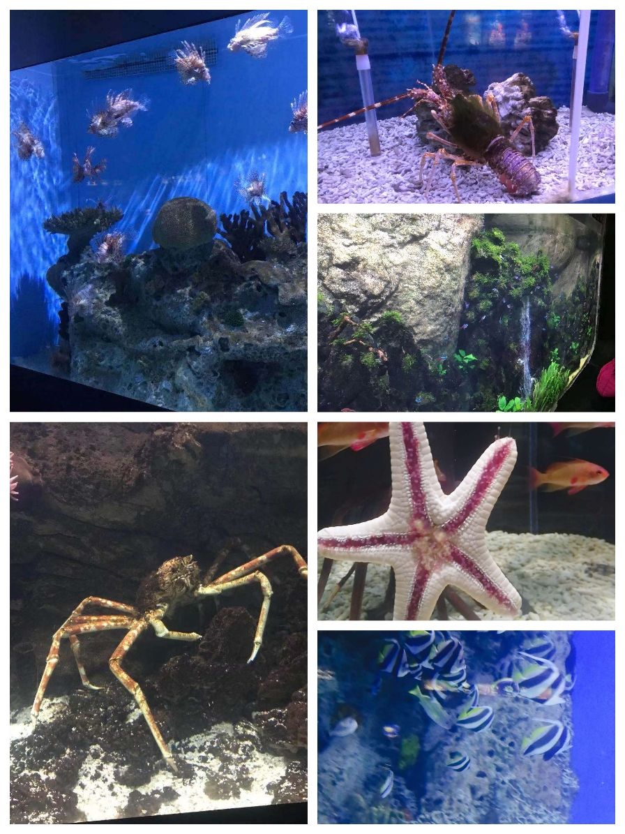 小镇邮箱_米加小镇海洋馆和邮局下载_小镇的海