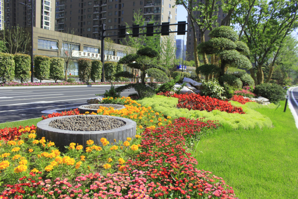 点亮城市_点亮城市下载_点亮城市的软件叫什么