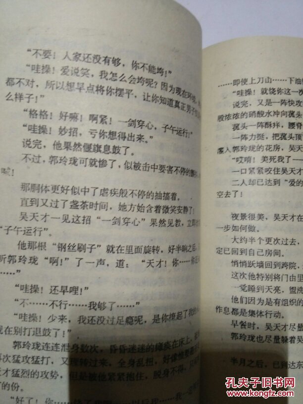 武林豪侠传_武林豪侠传流程攻略_武林豪侠传手游官网