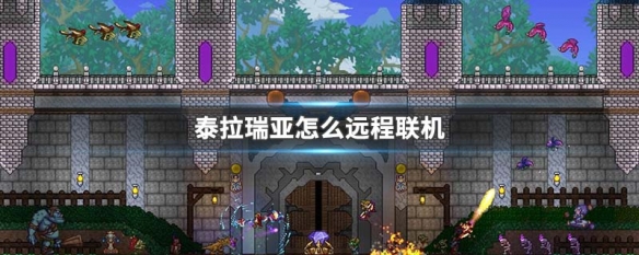 泰拉瑞亚远程联机端口是什么_泰拉瑞亚远程联机_远程联机瑞亚泰拉怎么用