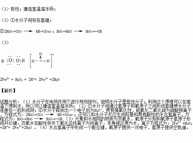 伊泽贝尔_伊泽_伊泽瑞尔