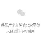 与手机一起玩的儿童游戏_儿童玩手机游戏有什么好处_儿童玩起手机游戏的危害
