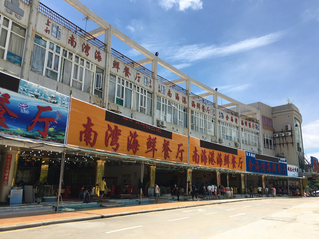 日记旅行风铃怎么写_日记旅行风铃树怎么写_风铃的旅行日记