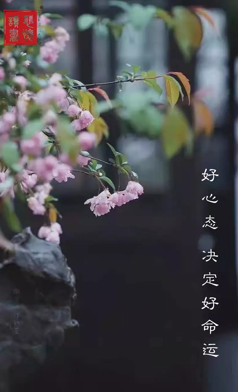 手机里的小游戏_手机自带小游戏在哪_关于手机里的自带小游戏