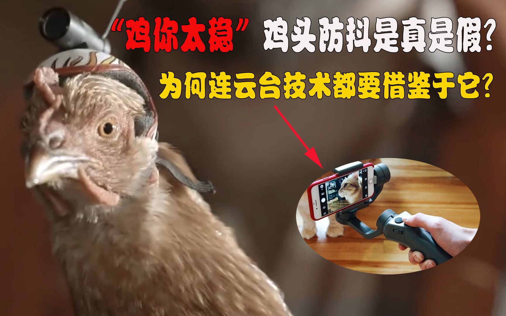 手游吃鸡助手叫什么_小鸡吃鸡助手_怎么让手机助手玩吃鸡游戏