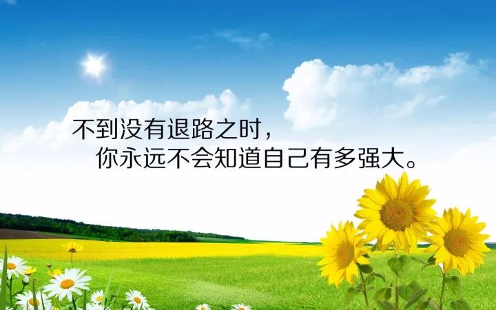 樱井光_樱井翔_樱井奈奈
