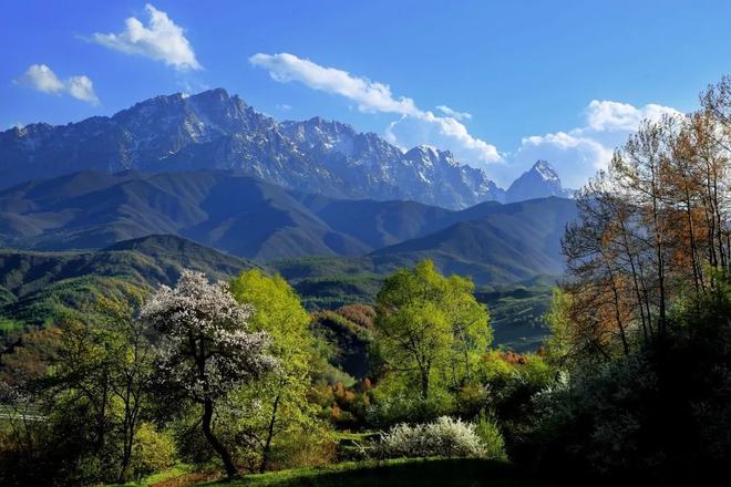 岜朋山站_山县有朋_山县有朋大山岩