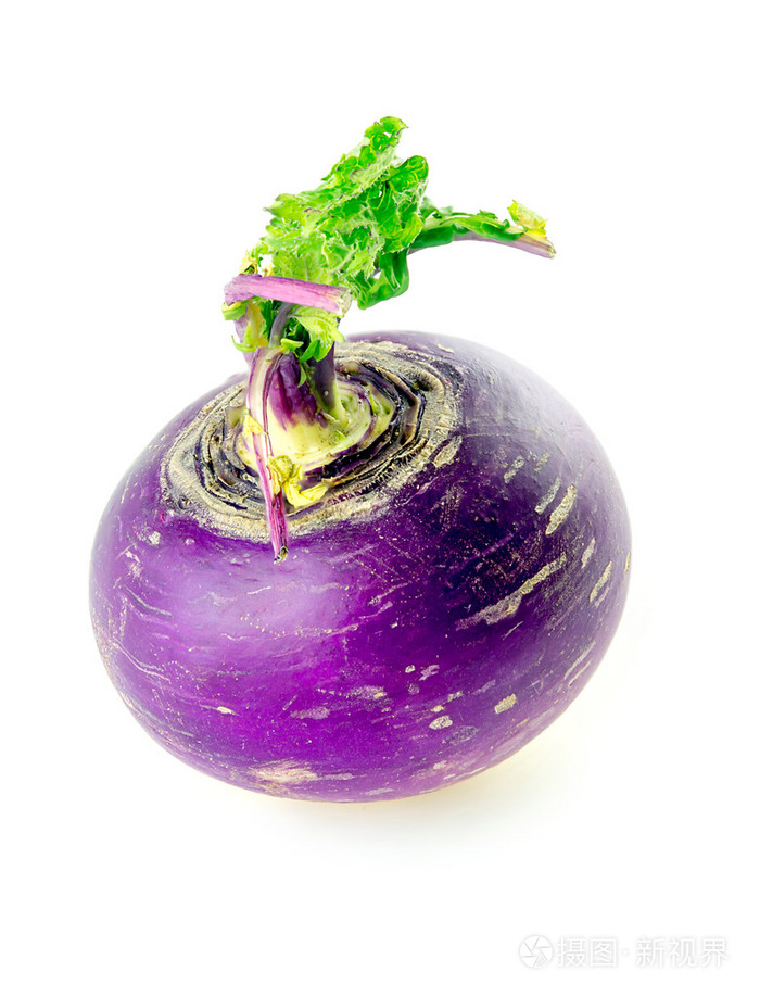 老旧手机蔬菜游戏_蔬菜下载手机版_蔬菜游戏解说