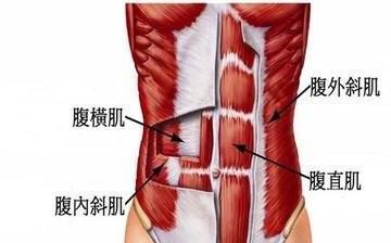 八块腹肌照片_腹肌照片看不出来是网图_腹肌照片真实一点图片