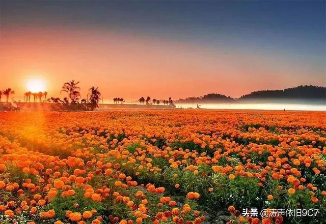 好玩的手机景色游戏有哪些_好玩景色手机游戏有哪些_风景好的手机游戏