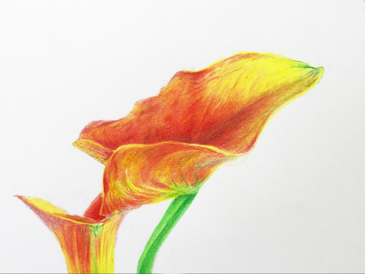 芙莲茶会_芙莲培养路线_芙莲