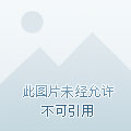 换个手机游戏-如何找到适合你的手机游戏？三个关键步骤教你轻松选