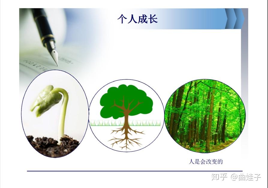 佐野俊英一样的画家_佐野俊英的画_佐野俊英