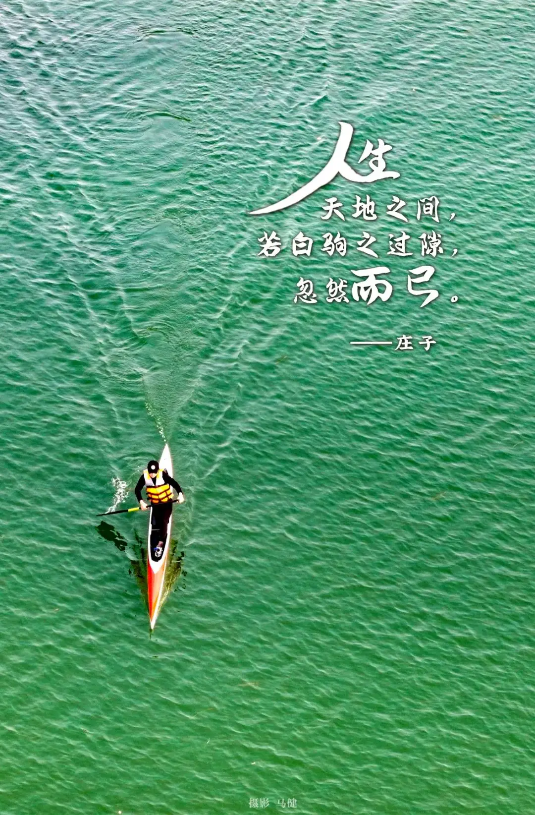 佐野俊英一样的画家_佐野俊英的画_佐野俊英