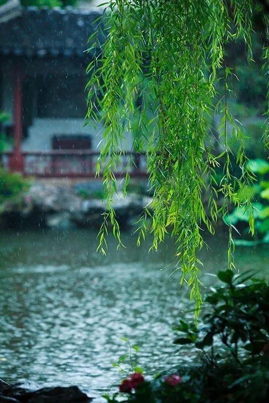 蝉女_蝉女小贝和廖兮结局_蝉女讲了什么