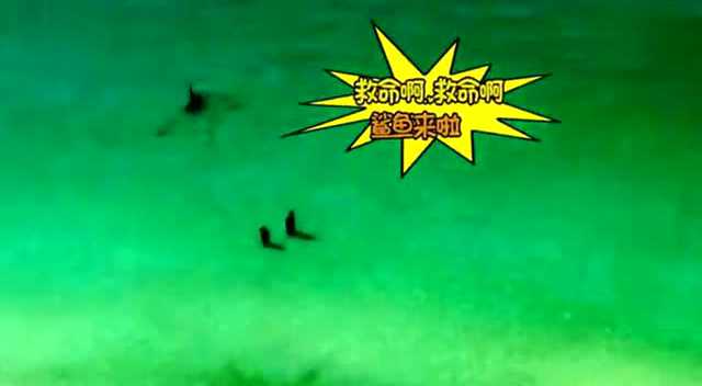 海龟逃生游戏下载手机版_1322游戏盒手机版下载_快玩游戏盒手机版下载