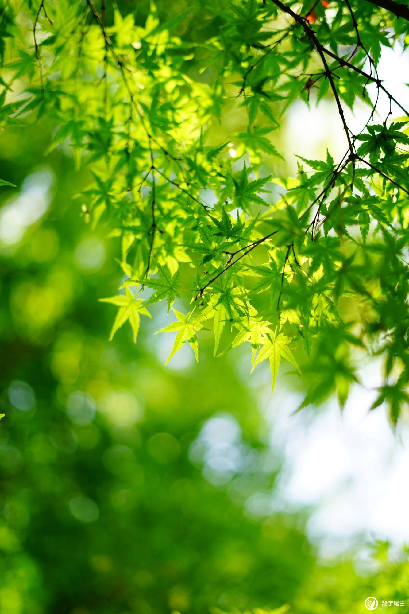 光影涂鸦_光影涂鸦照片_光影涂鸦app