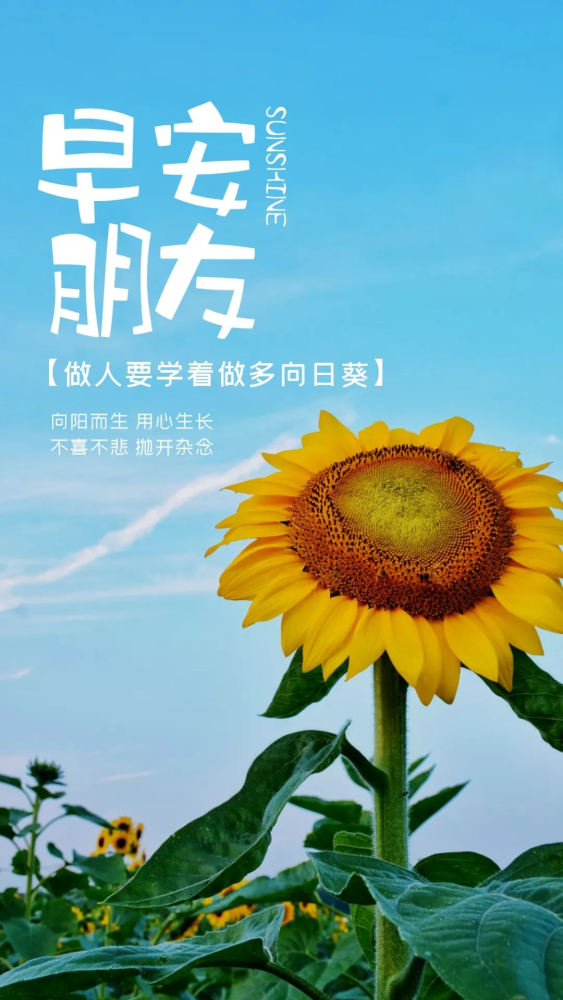 良笑社_良笑社_良笑社