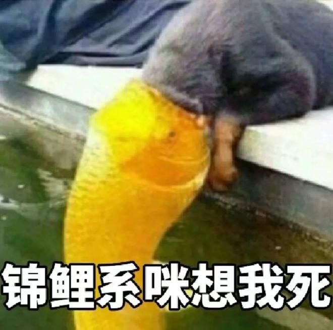表情拿包打手机游戏怎么弄_拿手机打游戏表情包_表情包打游戏吗