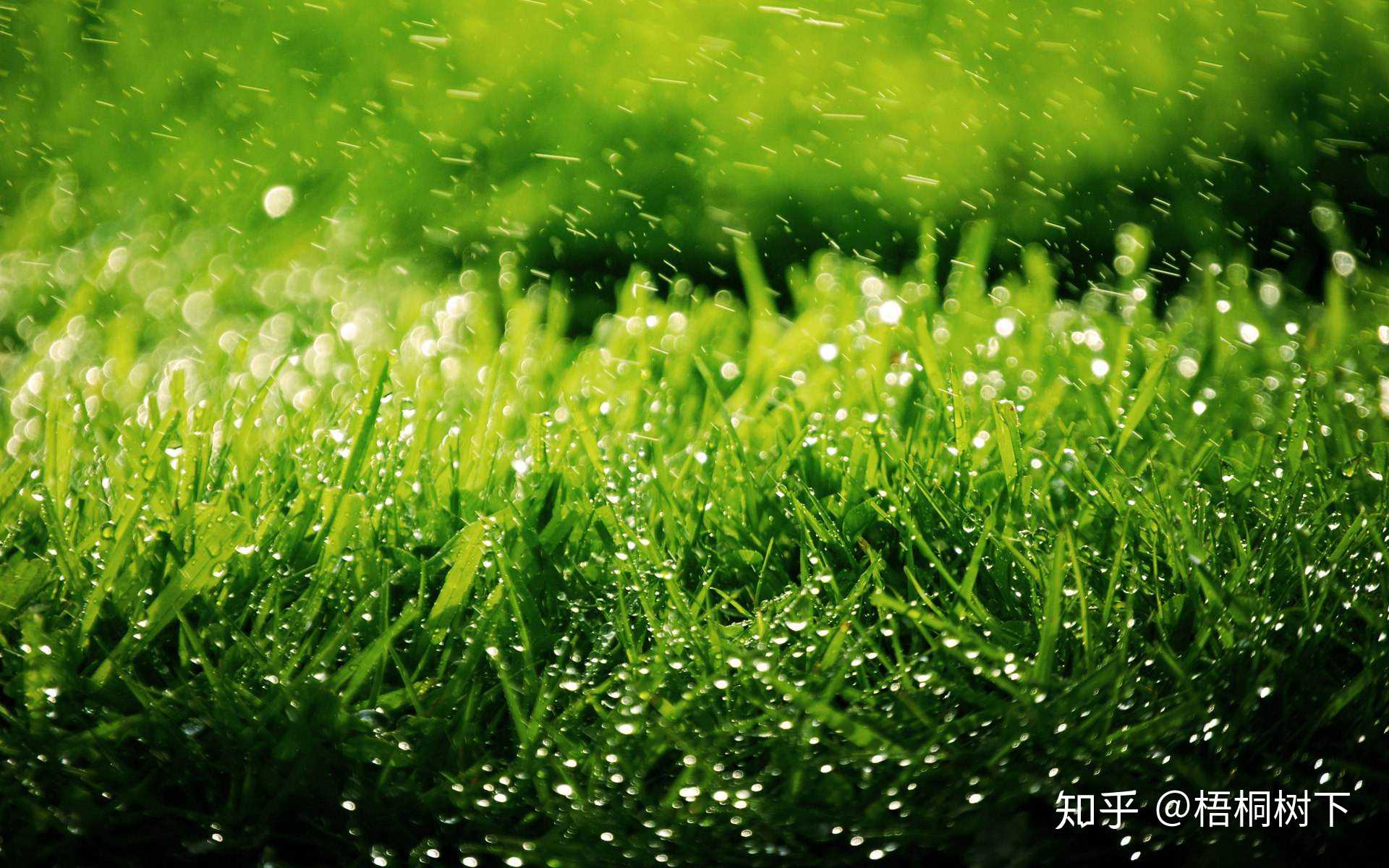 奴隶游戏手机桌面_奴隶游戏手机桌面_奴隶游戏手机桌面