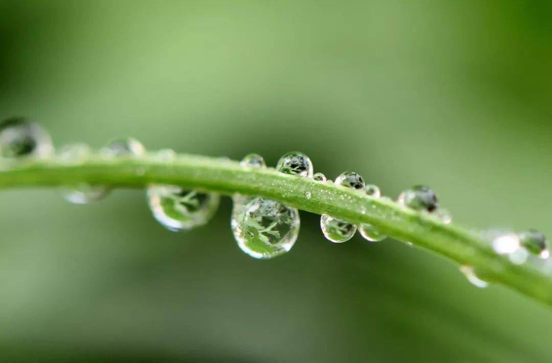 奴隶游戏手机桌面_奴隶游戏手机桌面_奴隶游戏手机桌面