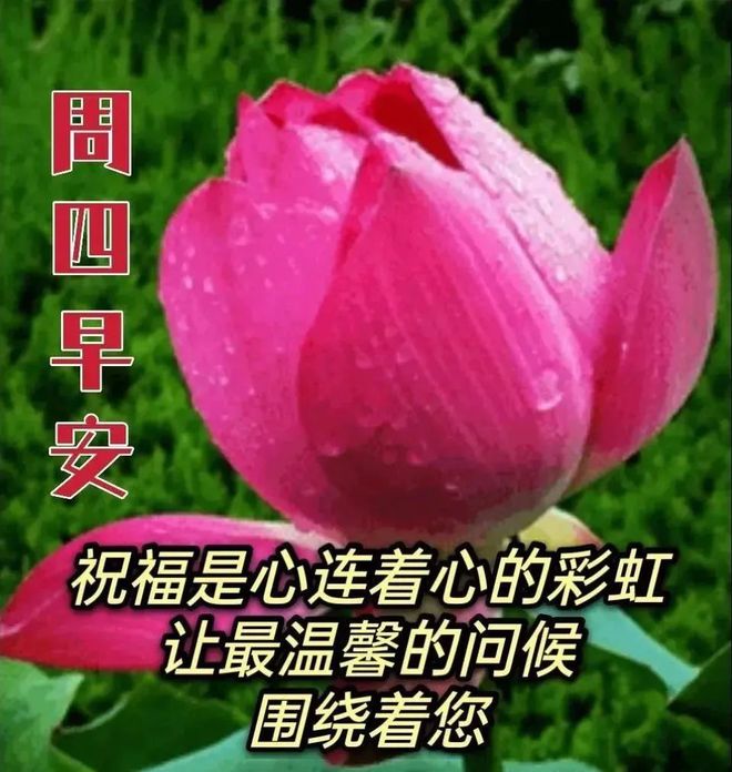 11月3日～11月9月英文_5月22日_月字旁的字