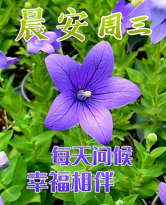 两人玩的默契手机游戏名字_默契名字两人玩手机游戏怎么取_默契名字两人玩手机游戏怎么弄