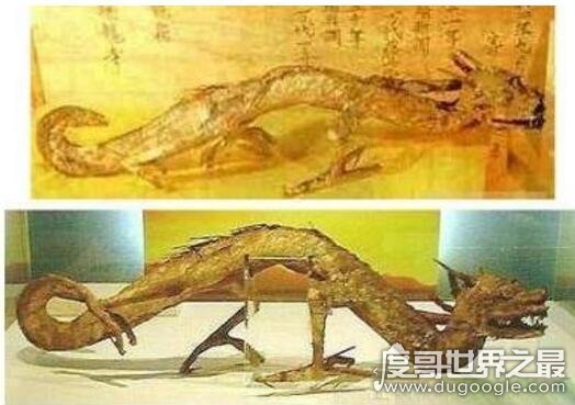 威廉明娜_威廉娜拉_威廉明娜女王画像