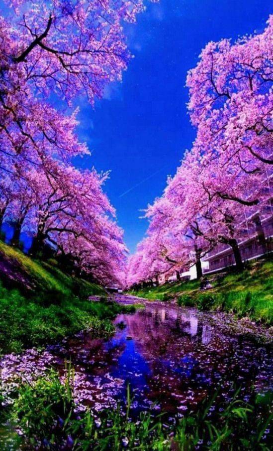 德国日期怎么看日月年_月日年还是日月年_2019年9月18日