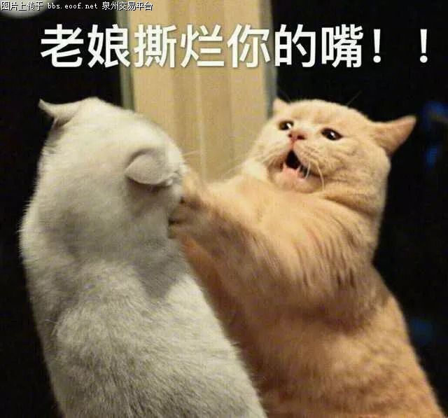 京东如何删除订单记录-京东订单记录：从购物旅程到数字尘埃的清理之旅