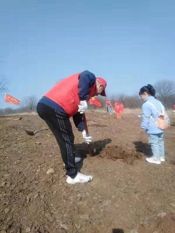 狂风毒蛾卡组_狂风毒蛾搭配什么卡好_狂风毒蛾