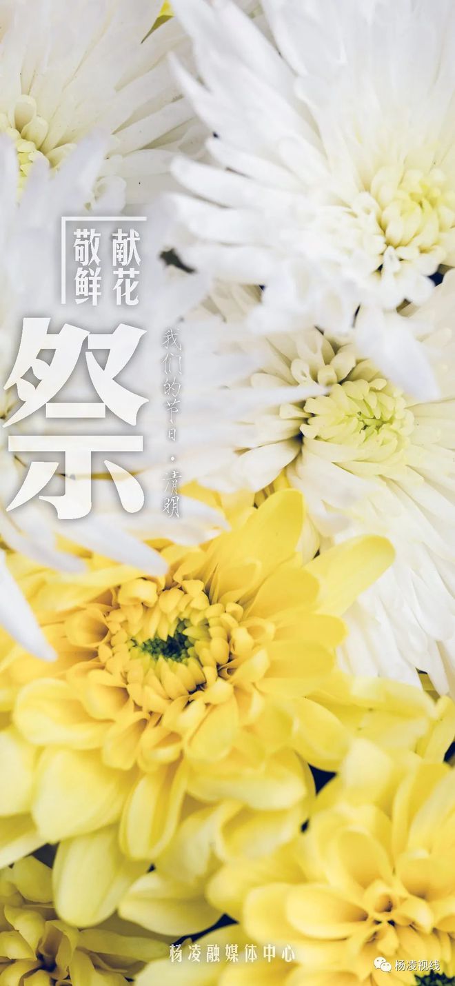 清明祈福词_清明祈福_清明祈福纪念卡怎么用