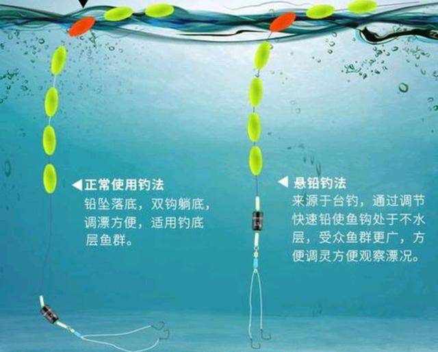 鲫鱼下载_鲫鱼游戏手机版_鲫鱼游戏解说大全