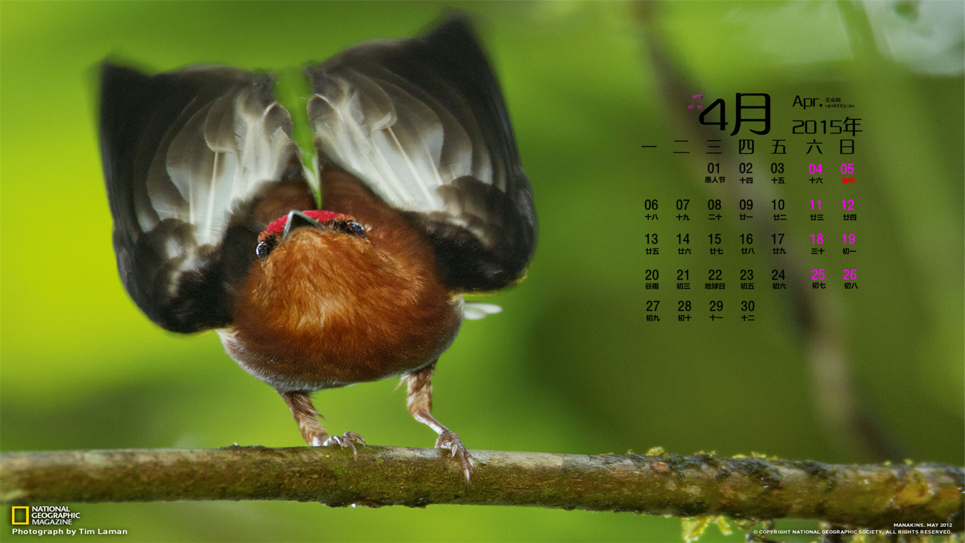日历节假日_日历节假日表_日历节假日显示怎么弄