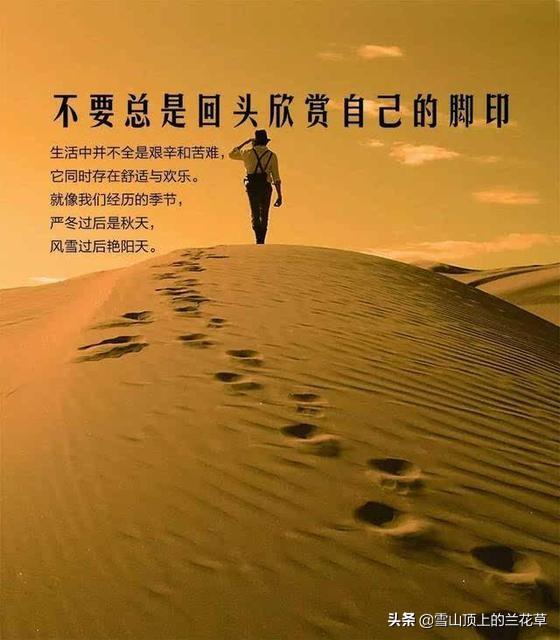 微博官网_微博官网app下载_微博官网下载