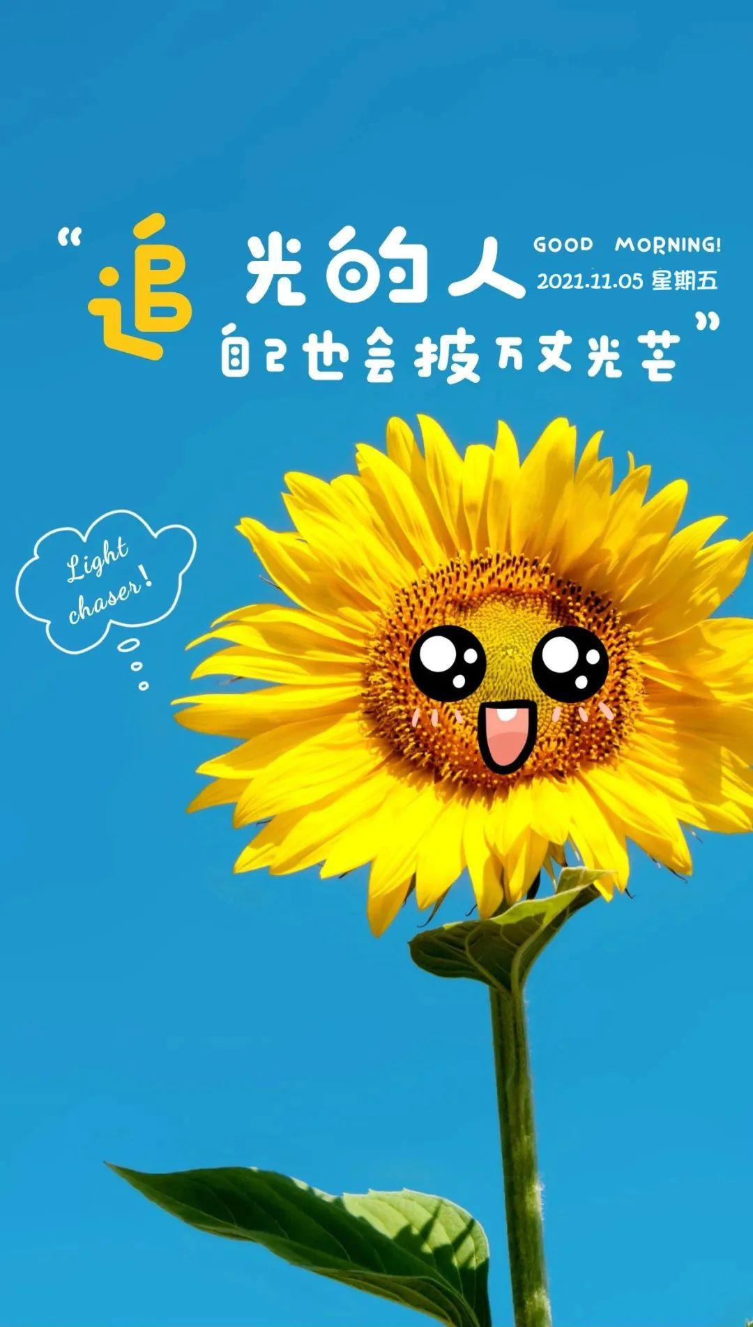 微博官网_微博官网app下载_微博官网下载