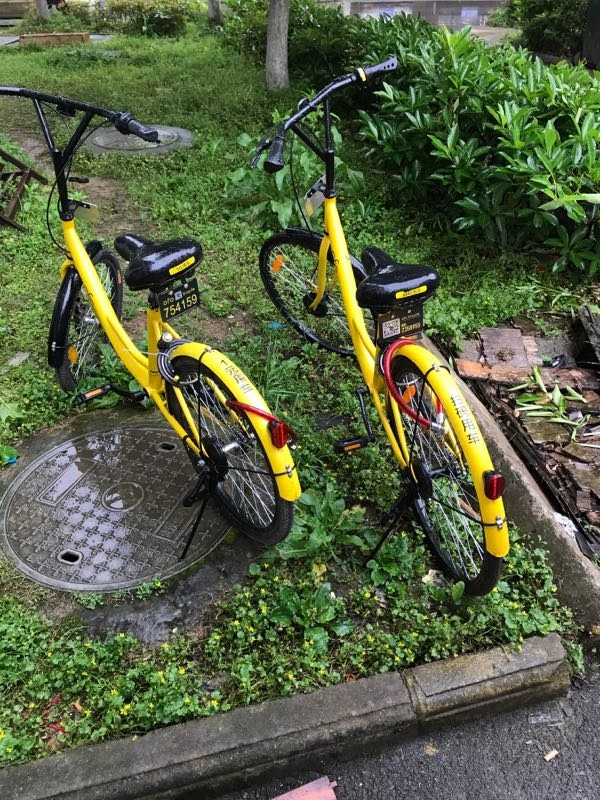 挂小黄车需要什么条件_小黄牌车需要什么驾驶证_挂小黄车要钱吗