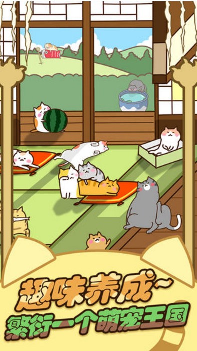 猫打游戏_猫咪打手机游戏_猫咪打手机游戏视频
