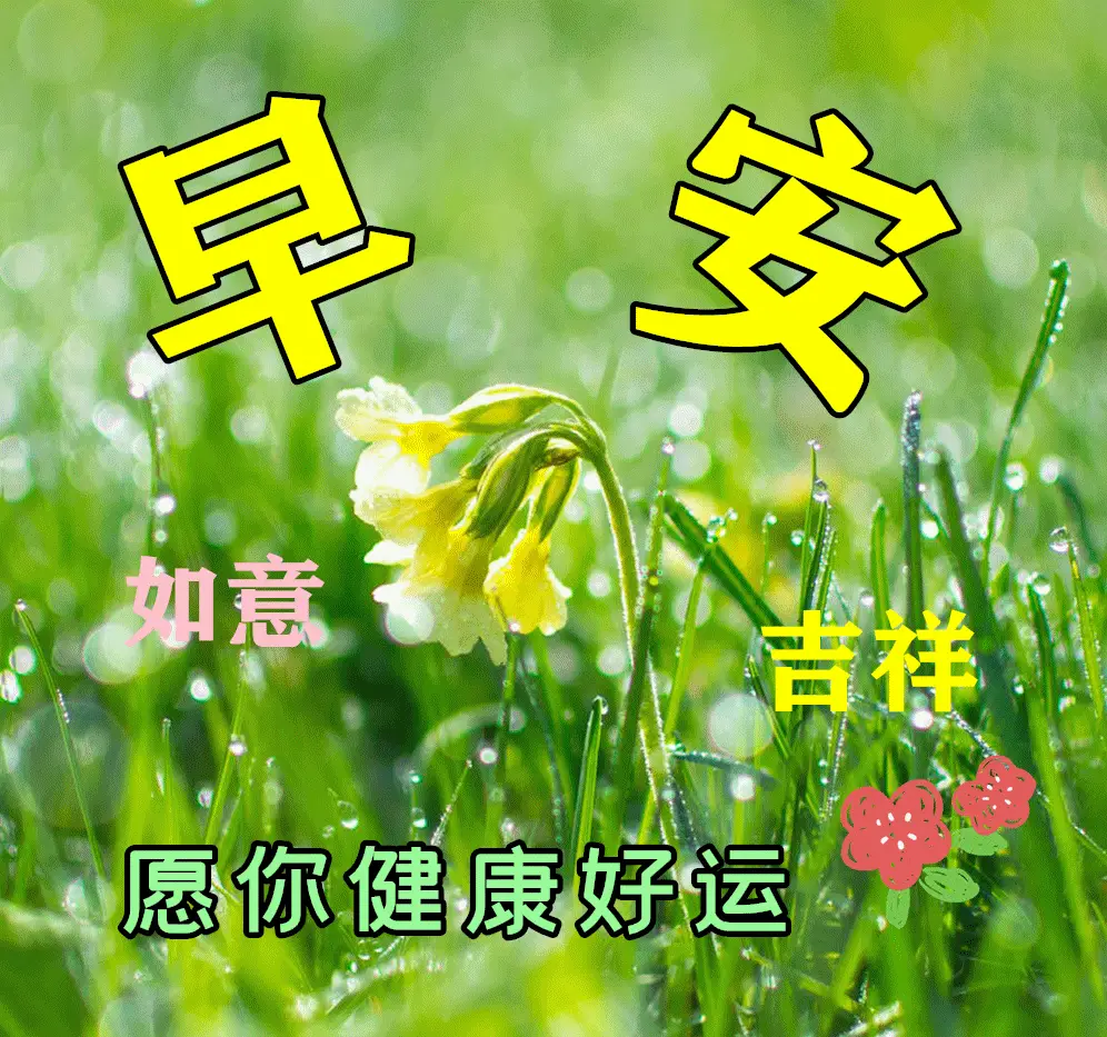 2月15日是什么日子_日子月是什么意思_月日是什么日子