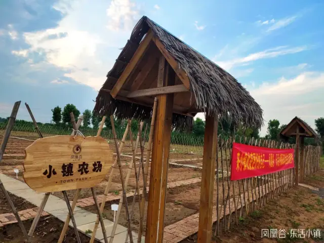 快乐农场游戏手机-快乐农场：五彩斑斓的田园梦，让你成为真正的农场主