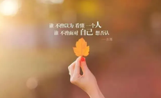 有哲理手机游戏-手机游戏：消遣之外的生活哲理，解谜与经营的智慧之书