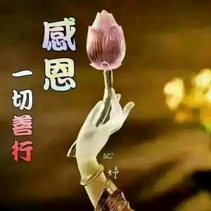 玛吉拉准_玛吉拉_玛吉拉香水