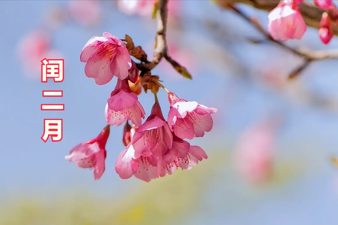 二月闰年有几天_2023年闰二月_二月闰年几年一次