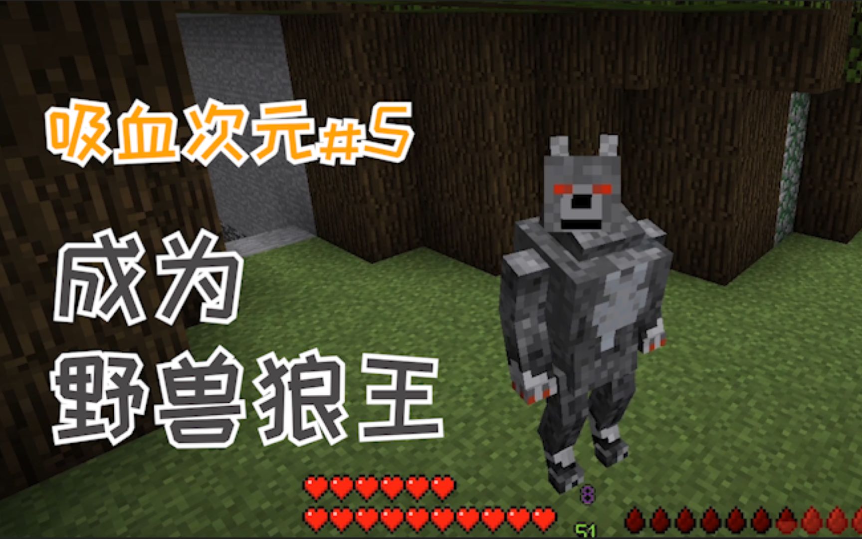 狼人职业赛场_wow狼人职业_狼人职业联赛