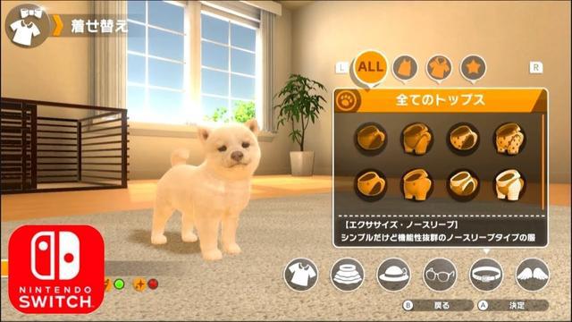 猫咪手机双人游戏_猫咪双人对战手游大全_猫咪双人小游戏