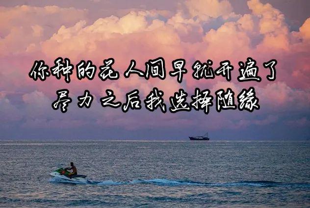 绯_绯_绯